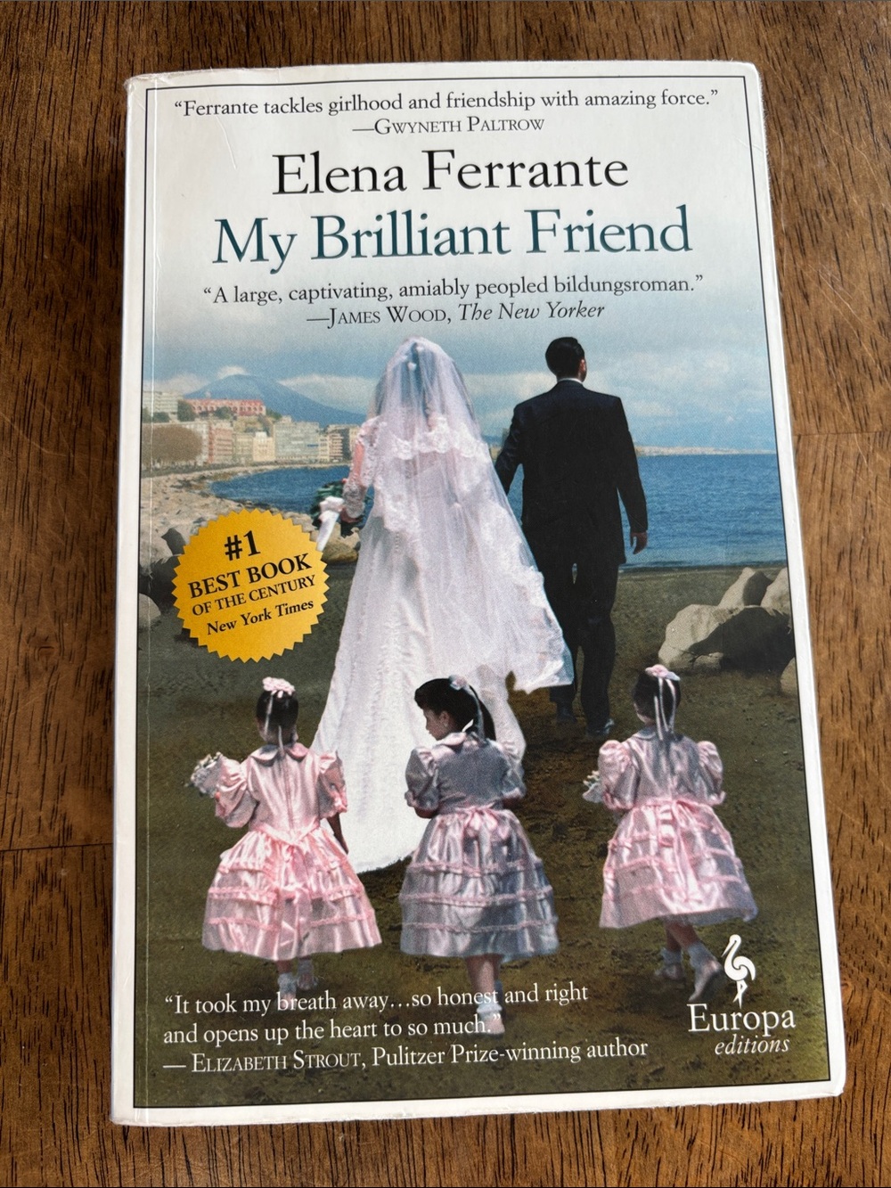 My Brilliant Friend by Elena Ferrante- paperback, read once gently